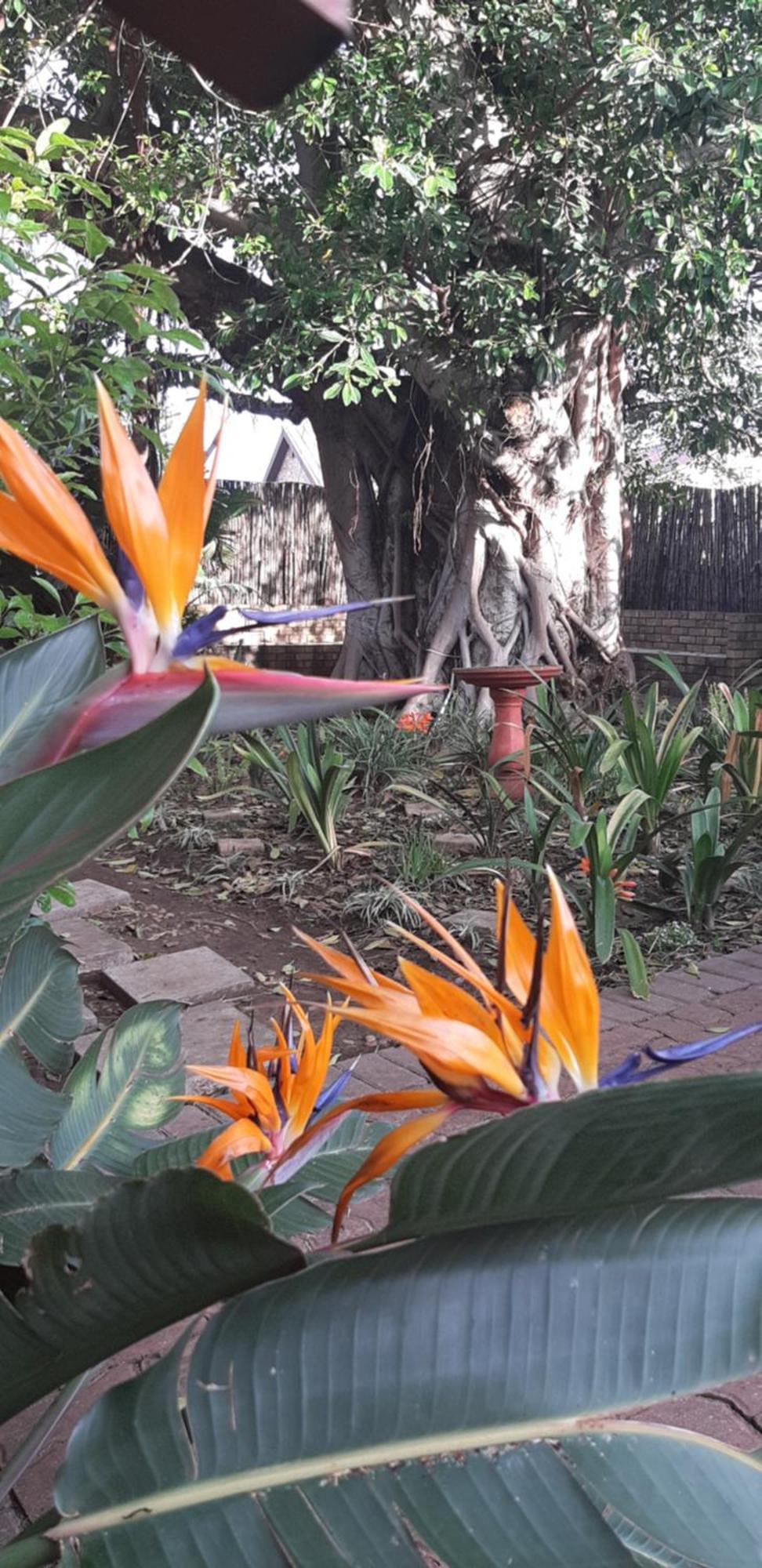 Aquarius Bed And Breakfast Jeffreys Bay Exterior photo